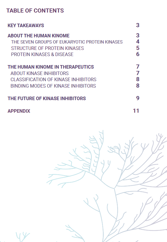 The human kinome 3