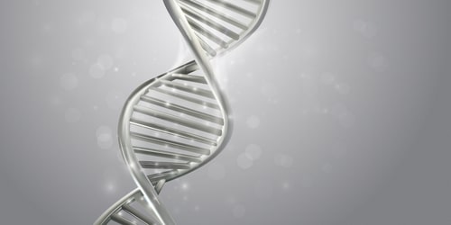 DNA genome