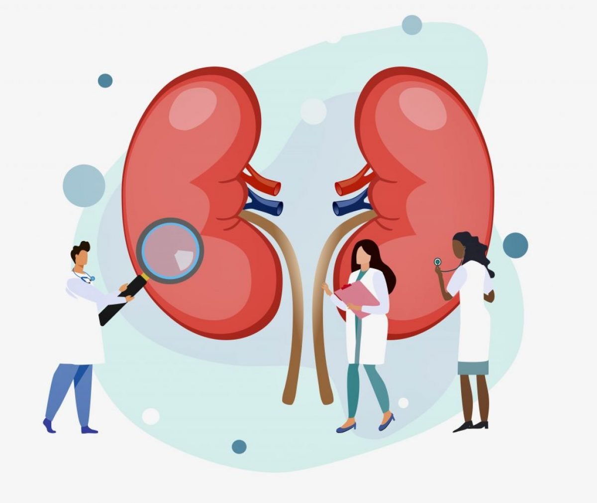 Kidney disease research: 5 advancements over the past year Kidney disease research: 5 advancements over the past year