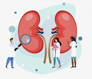 Kidney Disease research