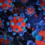 Rare autoimmune diseases