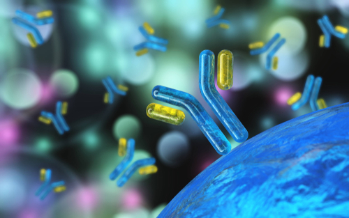 monoclonal antibodies