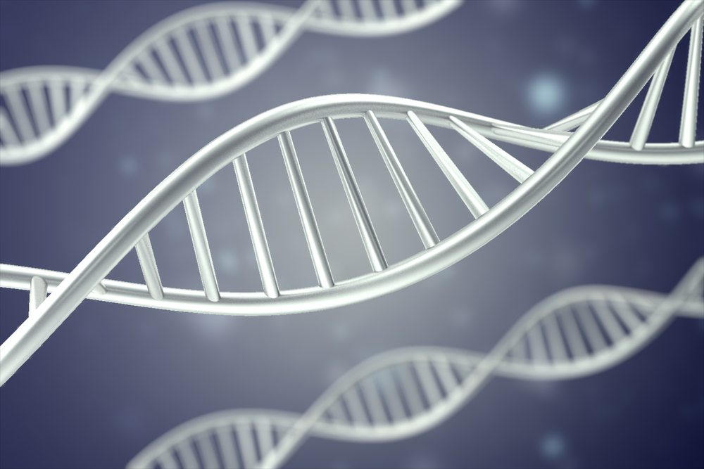 DNA RNA riboswitch