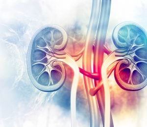 kidney disease