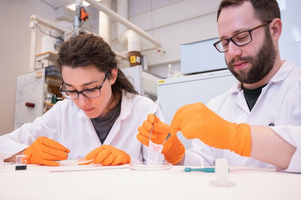 PhD students Elisa Zattarin and Olof Eskilsson.