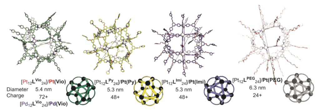 our20t122420nanocage20structures20investigated20in20the20study220using20platinum20and20a20variety20of20ligands