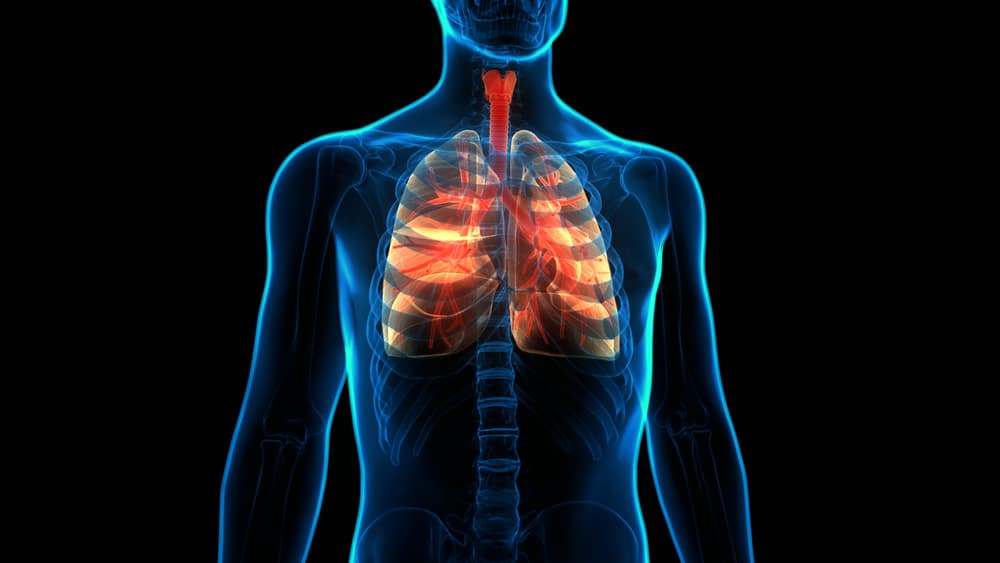 lungs lung disease COPD