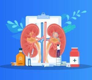 kidneys kidney disease