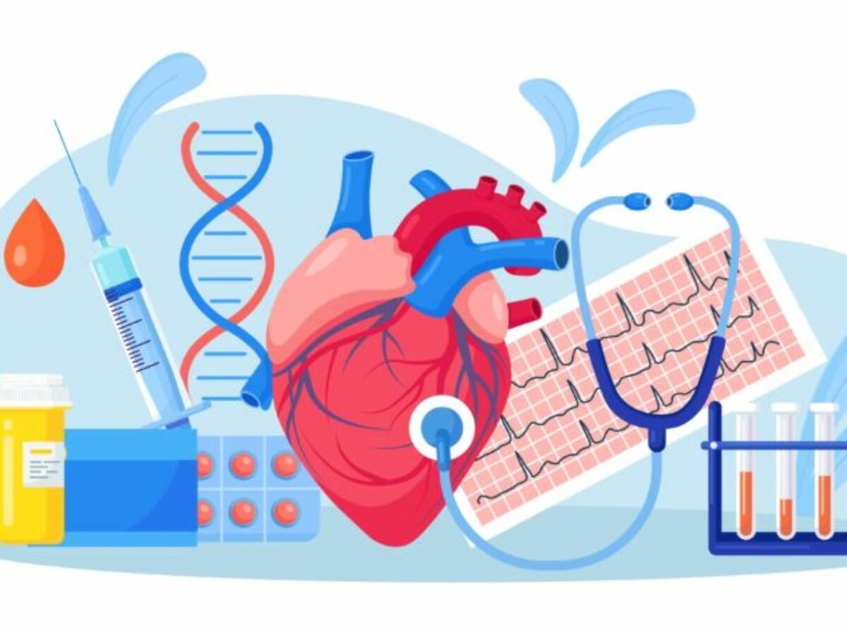 Cardiovascular Disease Heart Cardiovascular Disease Heart