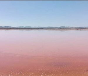 Salinas de Santa Pola salt flats cancer