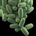 microbiome companies