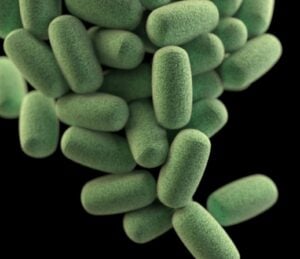 microbiome companies