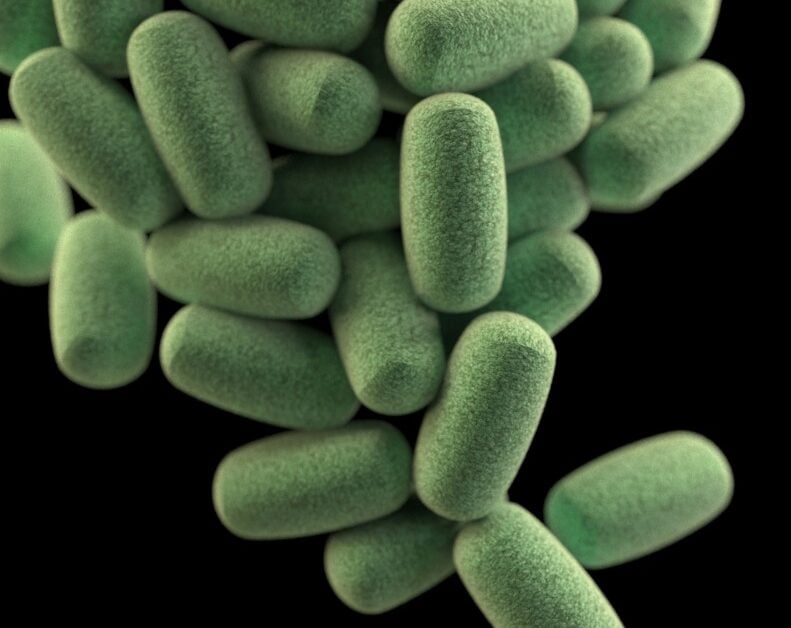 microbiome companies