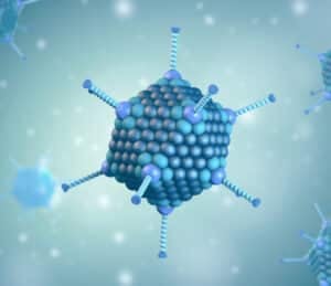 adenovirus