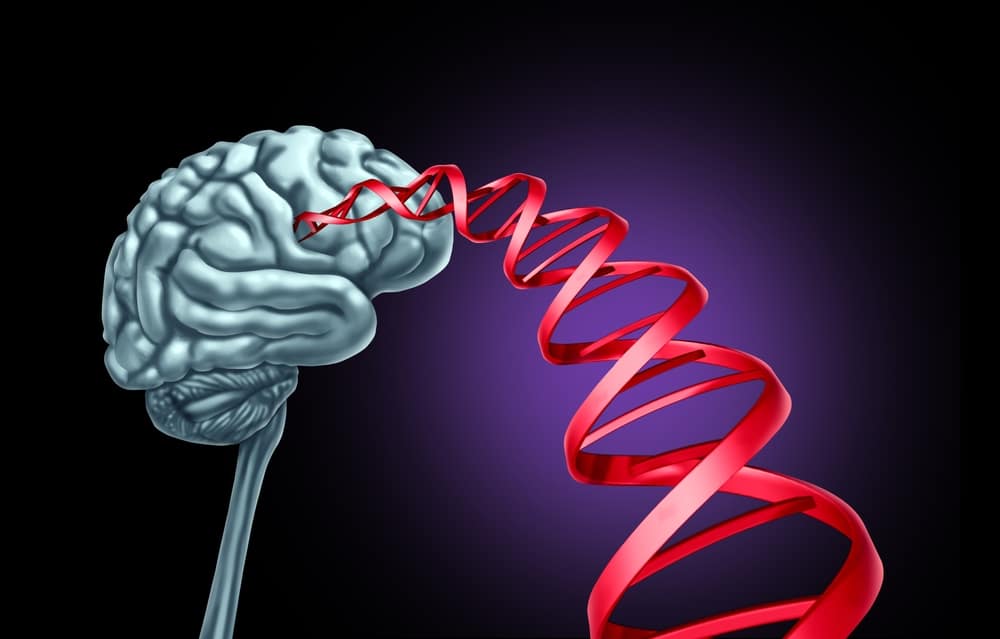 genetics Alzheimer's disease