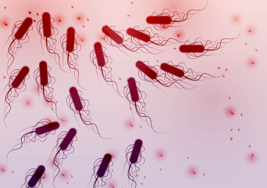 E. coli microbiome