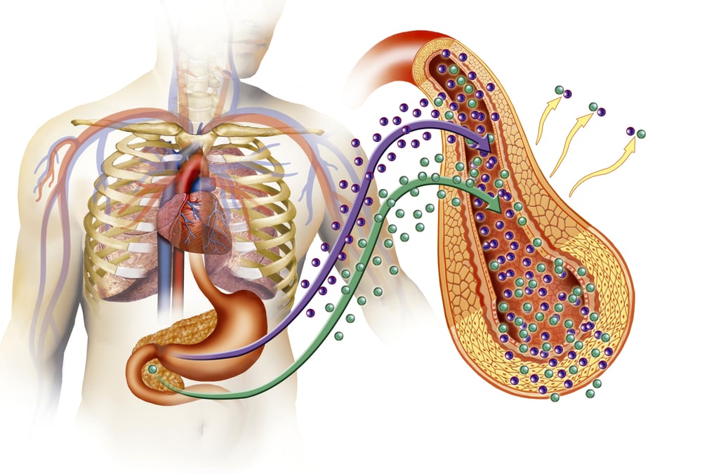 type 1 diabetes