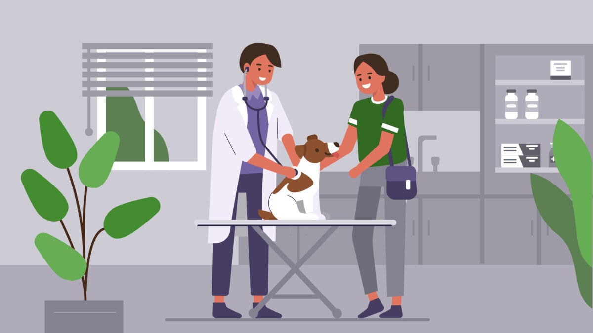 Pet sales medicine companies