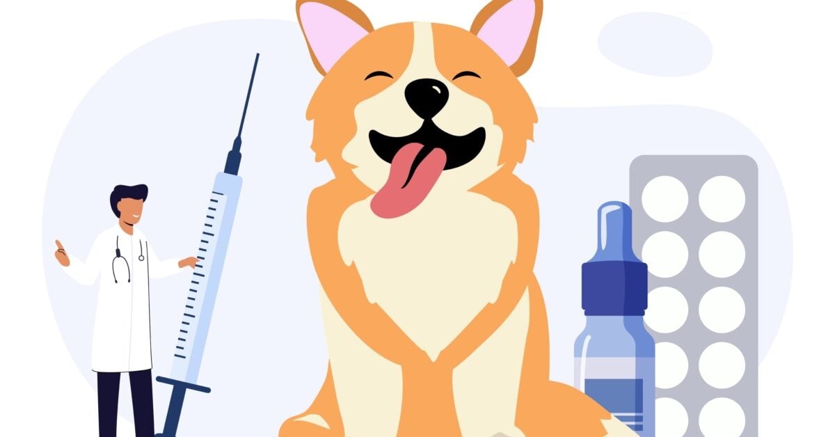 Immunotherapy for dogs