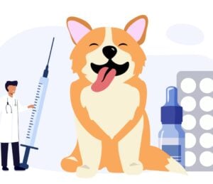 Immunotherapy for dogs