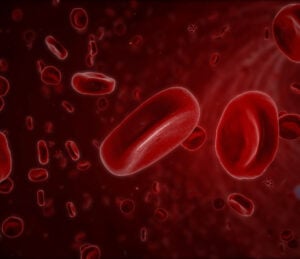 blood bleeding disorders von Willebrand disease