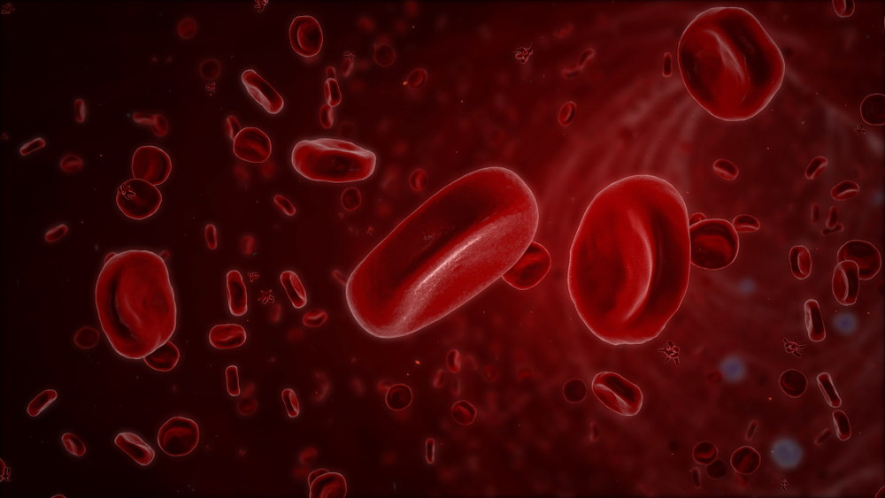 blood bleeding disorders von Willebrand disease