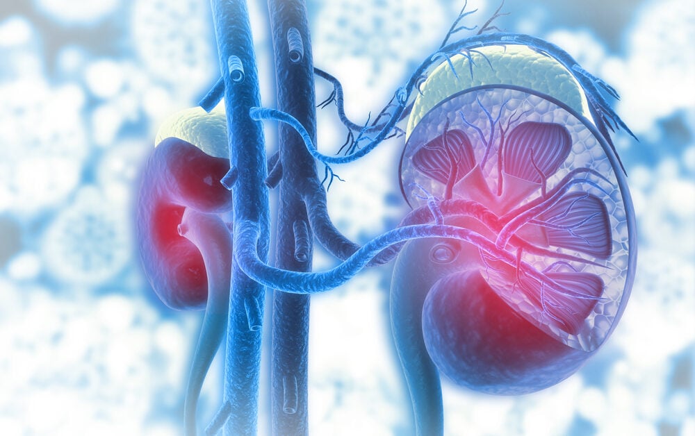 kidney disease