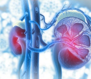 kidney disease