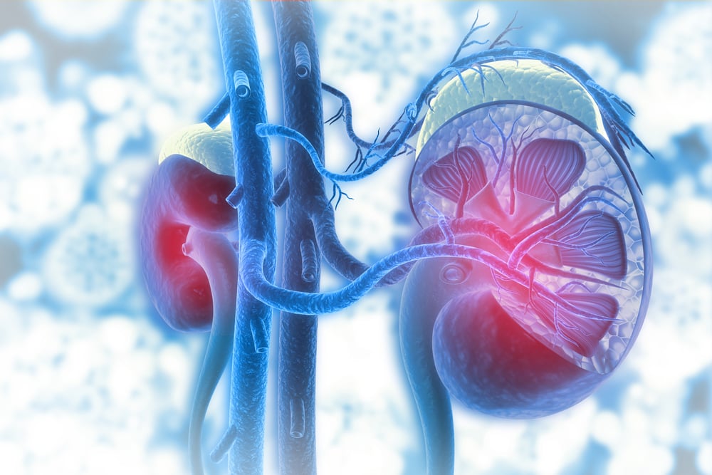 kidney disease