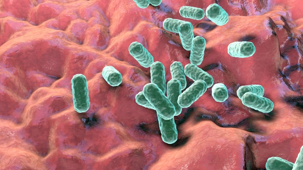 Enterobacteria antimicrobial resistance