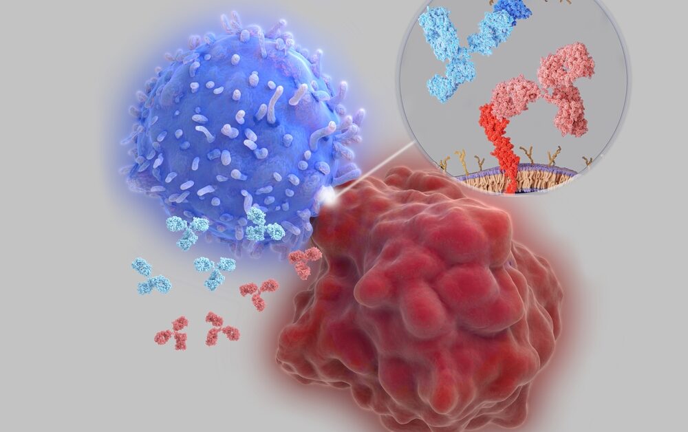 immune checkpoint inhibitors