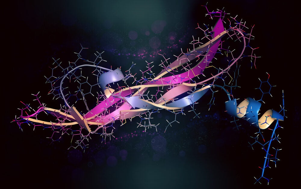 protein structure