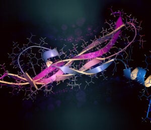 protein structure