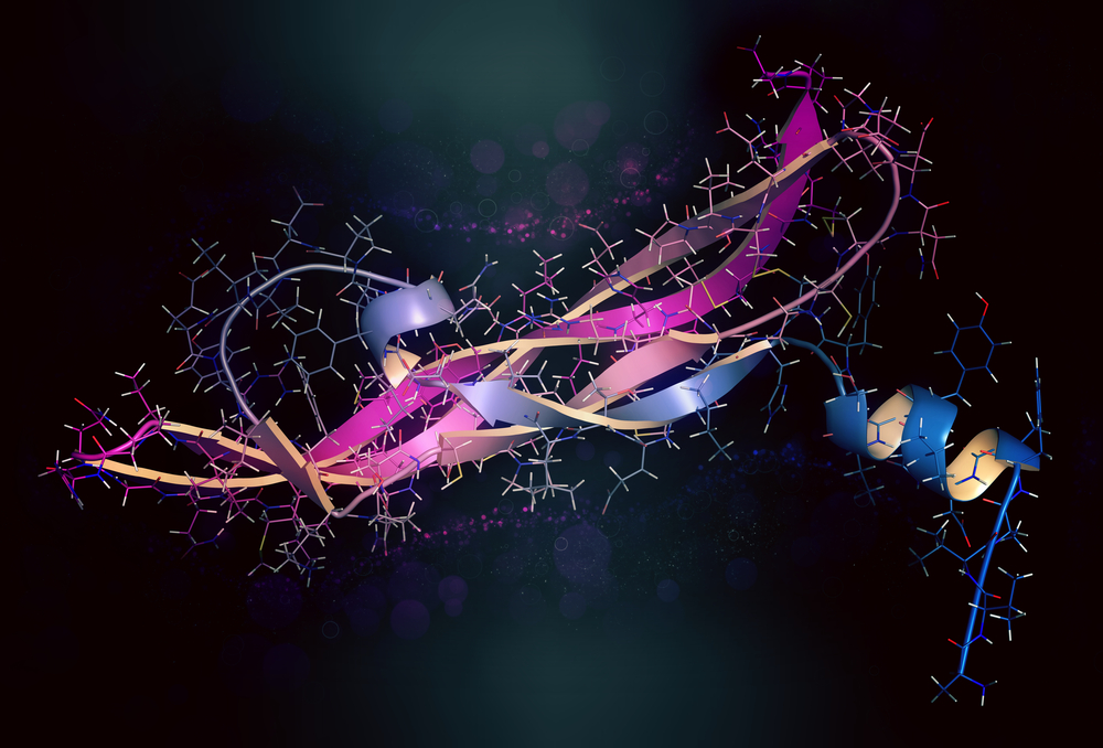 protein structure