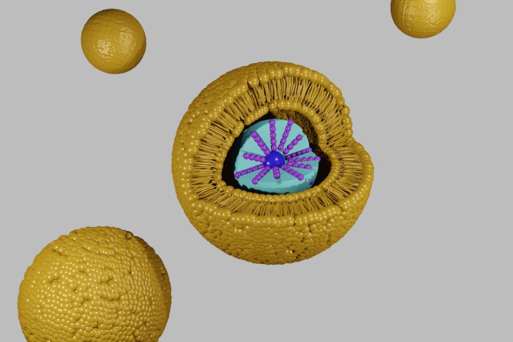 lipid nanoparticle