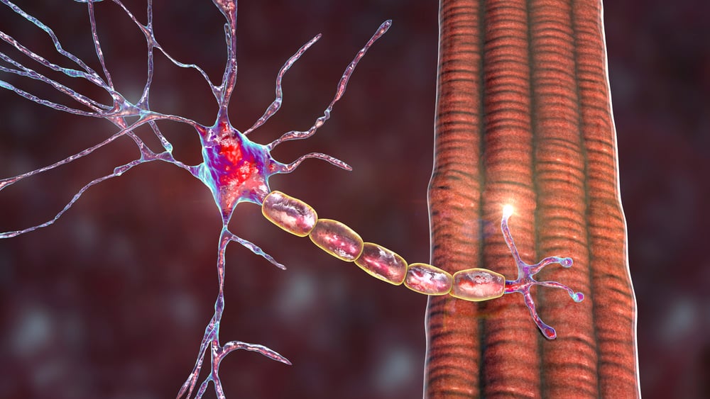 duchenne muscular dystrophy treatment