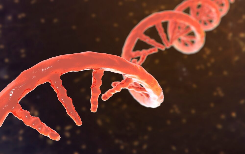 RNA