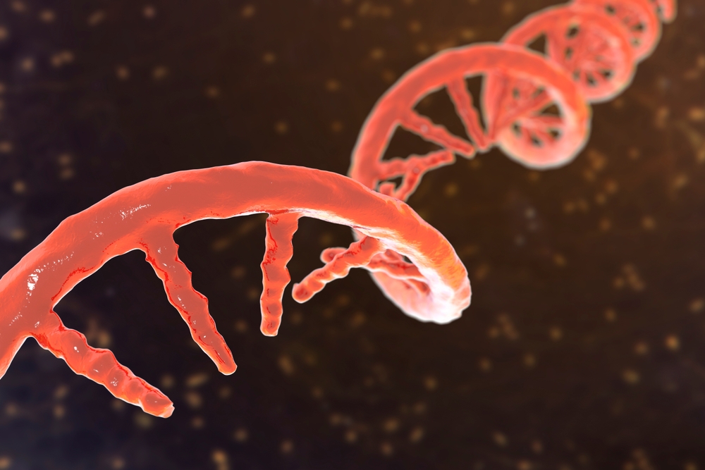 RNA