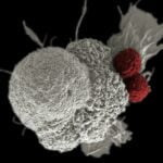 CAR T cell therapy companies