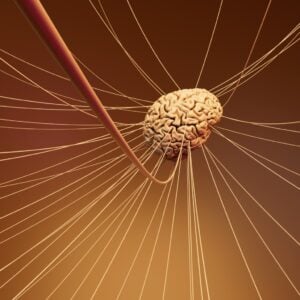 ALS cure