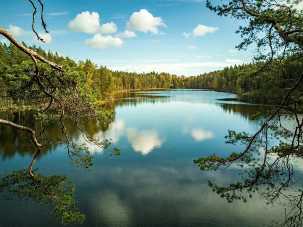 Biotech company finland
