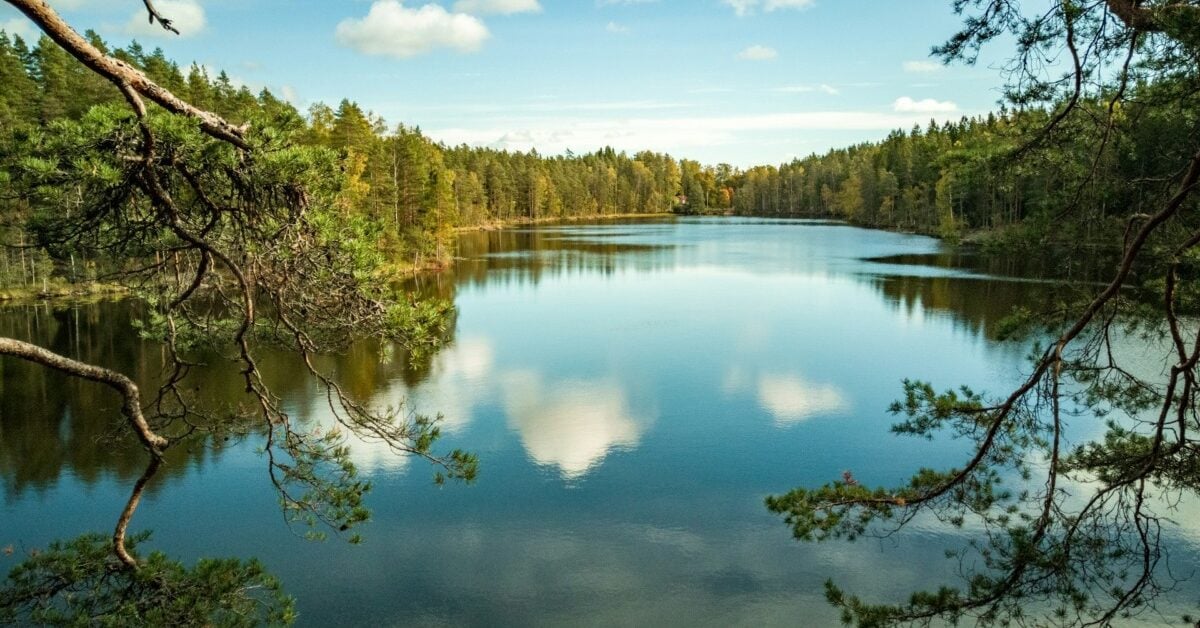 Biotech company finland
