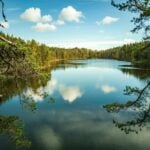 Biotech company finland