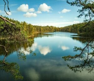 Biotech company finland