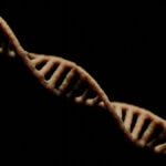 gene therapy skin disease