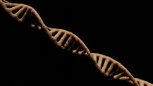 gene therapy skin disease