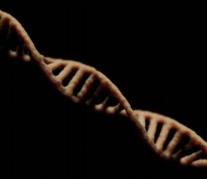 gene therapy skin disease