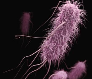 antibiotic development