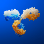 Multichain biotherapeutics: how to unlock their full potential