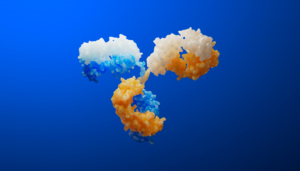Multichain biotherapeutics: how to unlock their full potential